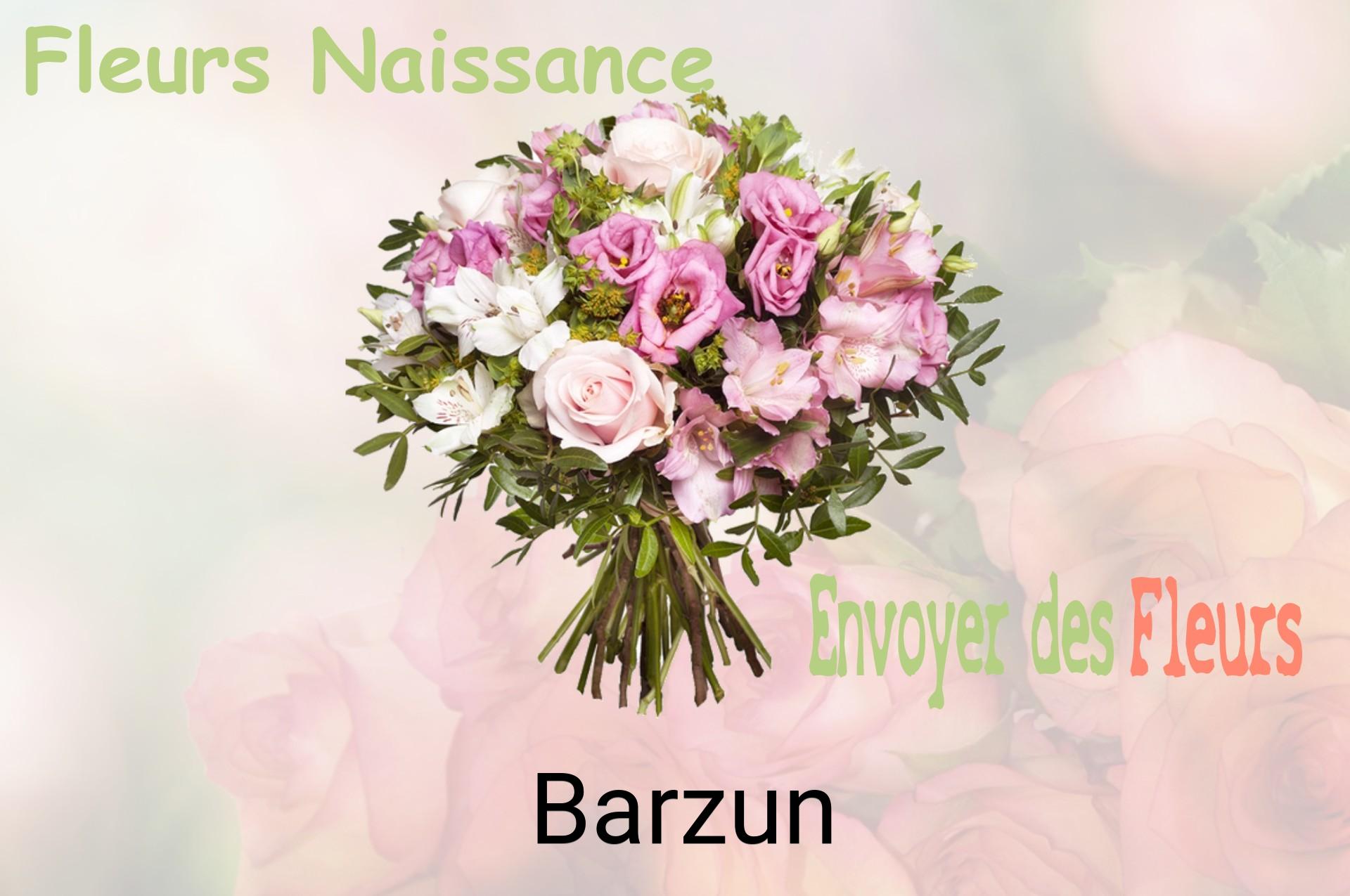 Bouquet de fleurs de naissance livré à Barzun